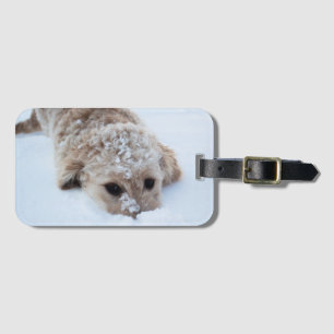 Etiqueta Para Maletas Goldendoodle Con Nariz En Nieve