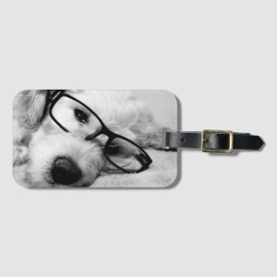 Etiqueta Para Maletas Goldendoodle con vidrio