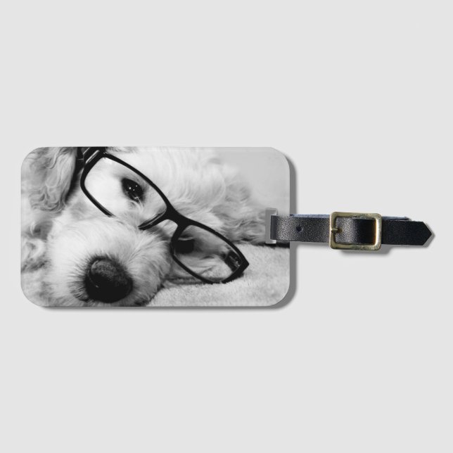 Etiqueta Para Maletas Goldendoodle con vidrio (Anverso horizontal)