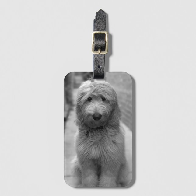 Etiqueta Para Maletas Goldendoodle Puppy En El Patio Trasero (Anverso vertical)