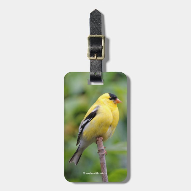 Etiqueta Para Maletas Goldfinch estadounidense masculino en el Bambú (Frente Vertical)