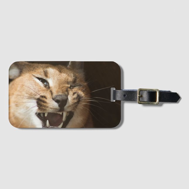 Etiqueta Para Maletas Goofy Lynx (Anverso horizontal)