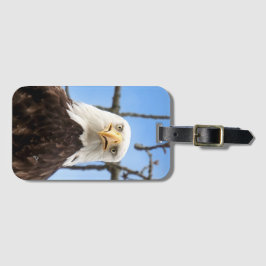 Etiqueta Para Maletas Graciosa foto de vida silvestre en Estados Unidos