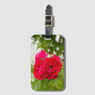Etiqueta Para Maletas Grandes rosas rojas en el jardín