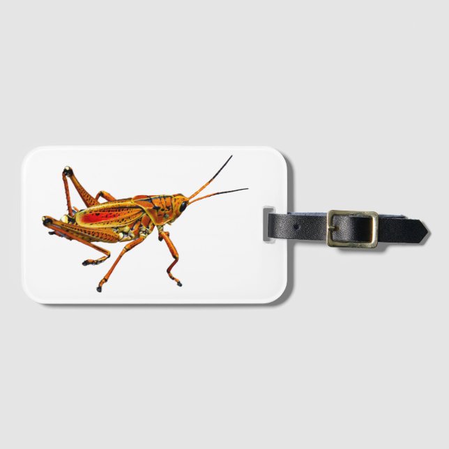 Etiqueta Para Maletas Grasshopper (Anverso horizontal)