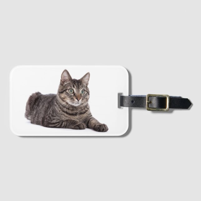 Etiqueta Para Maletas Gray Tabby Cat (Anverso horizontal)