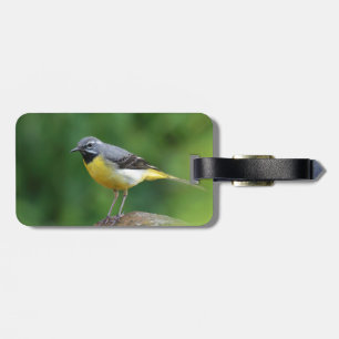Etiqueta Para Maletas Gray Wagtail - pájaro