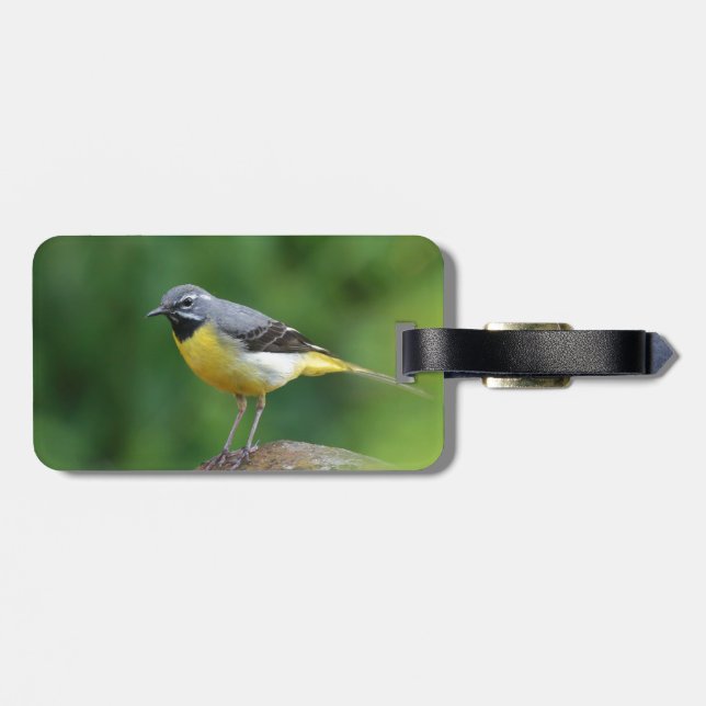 Etiqueta Para Maletas Gray Wagtail - pájaro (Atrás Horizontal)
