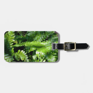 Etiqueta Para Maletas Green Ferns vegetación tropical botánica