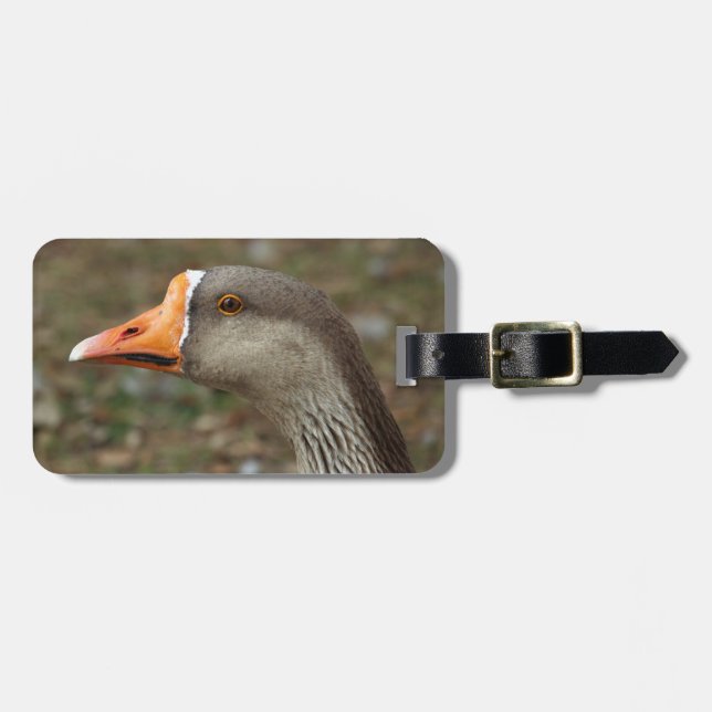 Etiqueta Para Maletas Greylag Swan Goose Cross (Frente Horizontal)