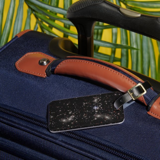 Etiqueta Para Maletas Grupo de Pandora (Anverso In situ 3)