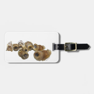 Etiqueta Para Maletas Grupo Pekingés