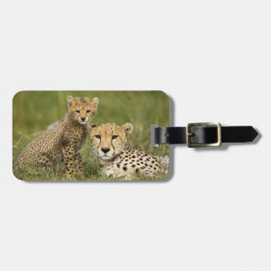 Etiqueta Para Maletas Guepardo, Acinonyx jubatus, con cría