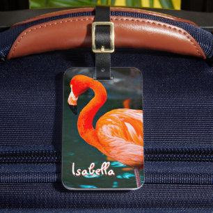 Etiqueta Para Maletas Guión de nombre personalizado de foto con estilo F