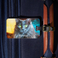Guión de nombre personalizado de la foto del gato 