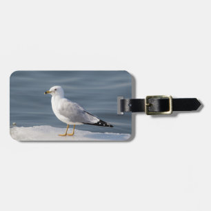 Etiqueta Para Maletas Gull on ice