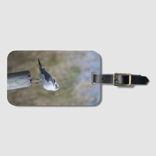 Etiqueta Para Maletas Gull on Post (Anverso horizontal)