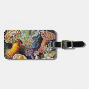 Etiqueta Para Maletas Haeckel Sea Anemone Ocean Life Nature Art Pintura