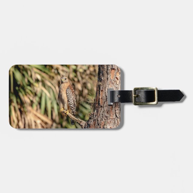 Etiqueta Para Maletas Halcón rojo con hombro en un árbol (Frente Horizontal)