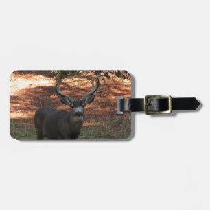 Etiqueta Para Maletas Handsome Blacktail Buck Lumalag