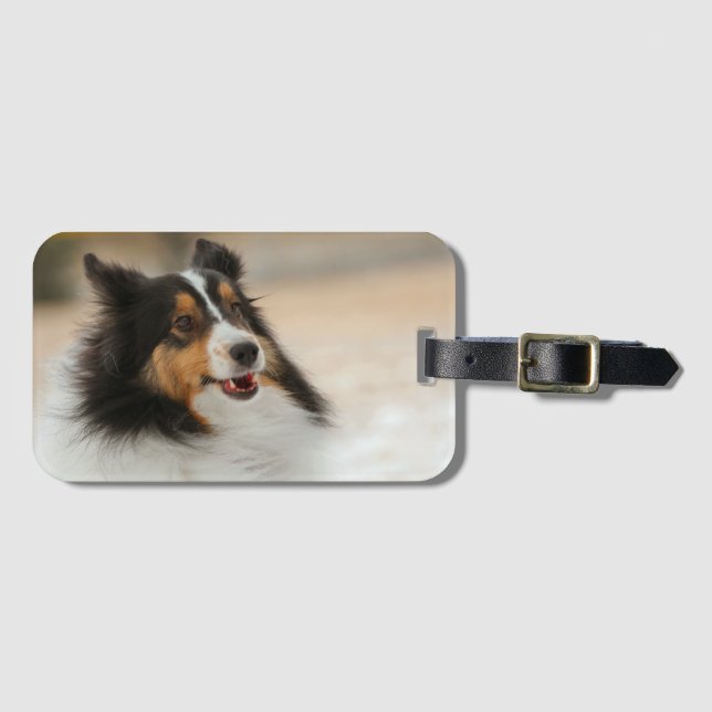 Etiqueta Para Maletas Happy Shelty (Anverso horizontal)
