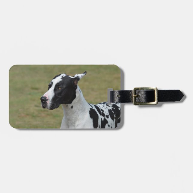 Etiqueta Para Maletas Harlequin great dane (Frente Horizontal)