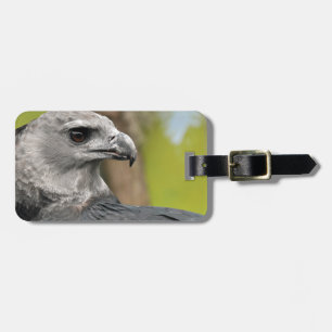 Etiqueta Para Maletas Harpy Eagle 1.JPG