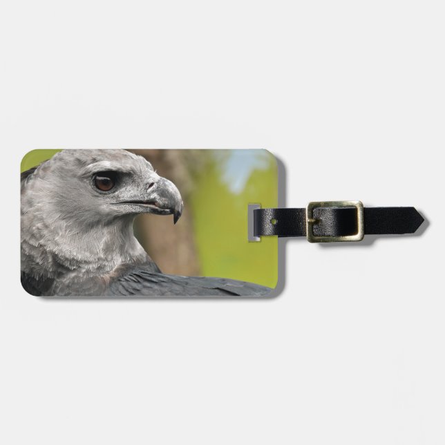 Etiqueta Para Maletas Harpy Eagle 1.JPG (Frente Horizontal)
