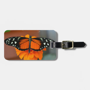 Etiqueta Para Maletas Hecale Longwing Butfly