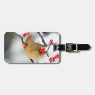 Etiqueta Para Maletas hembra de cardenal norteño en Common Winterberry