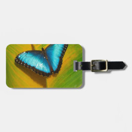 Etiqueta Para Maletas Hermosa Mariposa Irisada