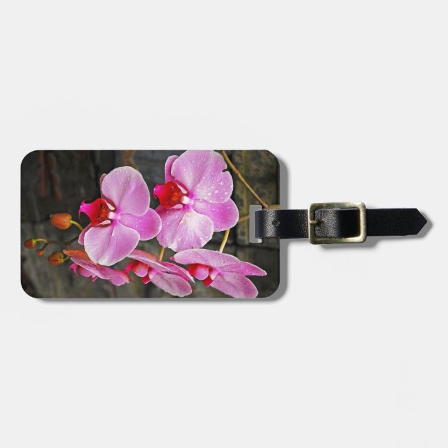 Etiqueta Para Maletas Hermosas orquídeas de polilla rosa (Frente Horizontal)