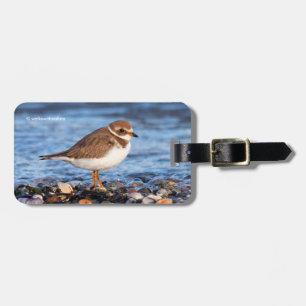 Etiqueta Para Maletas Hermoso amante de las palmeras en la playa