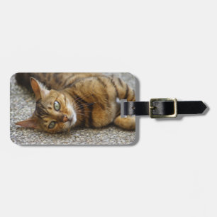 Etiqueta Para Maletas Hermoso gato bengalí