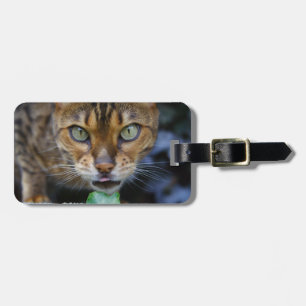 Etiqueta Para Maletas Hermoso gato bengalí