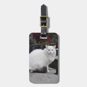 Etiqueta Para Maletas Hermoso Gato Blanco En Una Tumba
