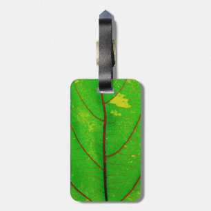Etiqueta Para Maletas Hoja