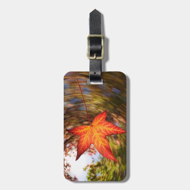 Etiqueta Para Maletas Hojas caídas de un árbol en otoño (Frente Vertical)