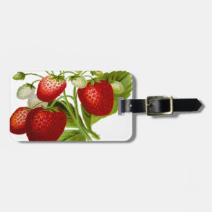 Etiqueta Para Maletas Hojas de hojas de hojas de hoja de fruta