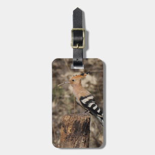 Etiqueta Para Maletas Hoopoo Femenino En Trunk