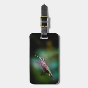 Etiqueta Para Maletas Hummingbird - Fotografía original