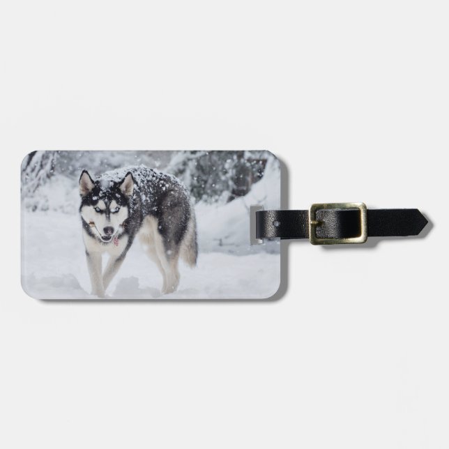 Etiqueta Para Maletas Husky en la nieve (Frente Horizontal)