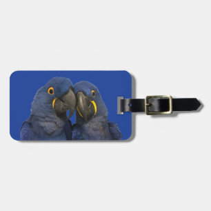 Etiqueta Para Maletas Hyacinin Macaw Parrot Bird Rare Blue
