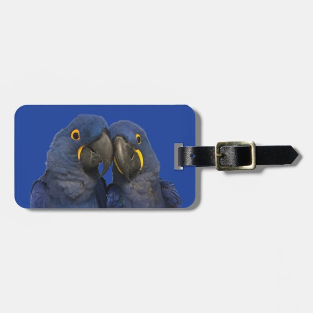 Etiqueta Para Maletas Hyacinin Macaw Parrot Bird Rare Blue (Frente Horizontal)