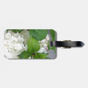 Etiqueta Para Maletas Hydrangea Flor Verde Blanco Naturaleza Planta Jard