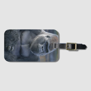 Etiqueta Para Maletas Icónico Silverback Oumbi