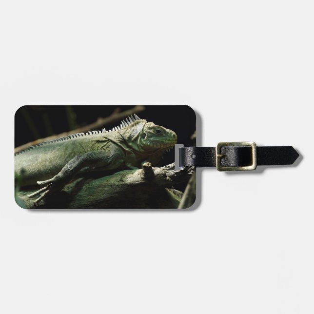Etiqueta Para Maletas Iguana delicatissima (Frente Horizontal)