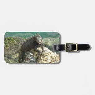 Etiqueta Para Maletas Iguana en las Rocas en St. Thomas