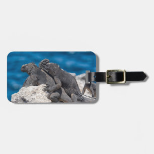 Etiqueta Para Maletas Iguana marina