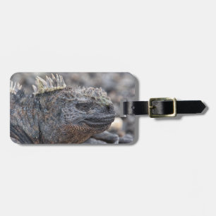 Etiqueta Para Maletas Iguana marina